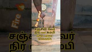 சஞ்சீவி வேர் sanjivani pulla Only Hindi and English language call me7499602071 [upl. by Eiramik481]