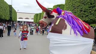 La Danza del Torito de Silao Guanajuato México 💓 [upl. by Trudy]