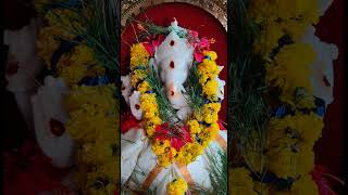 Jai bholo ganesh mahraj ki jaiVegneshwaralambodhara [upl. by Shirleen]