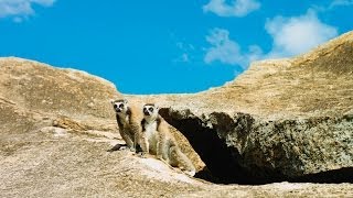 Island of Lemurs Madagascar  Official Trailer HD [upl. by Meyer]