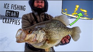 Ice Fishing GIANT Crappies in Shallow Water  TIPS amp TECHNIQUES [upl. by Ahsiled369]