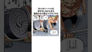 ㊗️50万再生！4トンのバーベルを支えながら腕立て伏せするゾロに関する雑学 ワンピース onepiece [upl. by Ramedlaw]