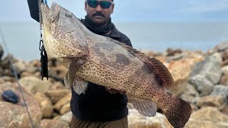 5kg ഹമൂർ5kg Grouper catching shrimp lurekerala grouperfish fishing [upl. by Mehalek]