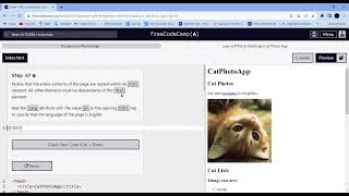 Learn HTML by Building a Cat Photo App Step  67  freeCodeCamp [upl. by Pradeep]