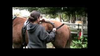 UCS 2225 Part 2 Tack for Farming with Horses [upl. by Giza]