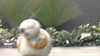 08 SPHERO BB8 BRANDFOLDER VIDEO HD [upl. by Alleinad]