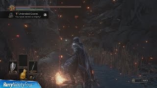 Dark Souls 3  How to get to the Untended Graves Secret Area [upl. by Phina]