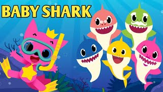 Baby Shark Song and dance Nursery Rhymes amp Kids Songs toddlers [upl. by Sille]