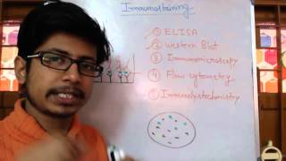 Immunostaining  immunohistochemistry immunocytochemistry and western blot [upl. by Pedroza]