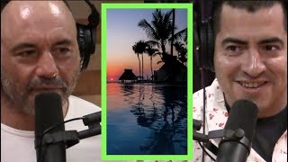 Joe Rogan  Mexican Resorts Are Safe Because Theyre Cartel Owned wEd Calderon [upl. by Dnalro]