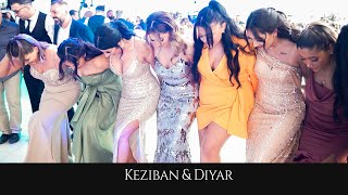 Keziban amp Diyar  Dersim  Pazarcik  GRUP MERAN  Memo Davul Zurna MirVideoProduction ® [upl. by Gehlbach]