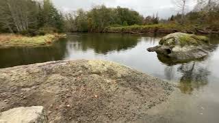 Chemainus River Estuary [upl. by Madaras]