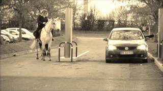 Cheval au Drive  Horse at Drive [upl. by Dedrick]