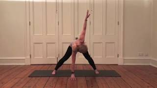 How to sequence towards Parivrtta Trikonasana  Harrogate Yoga [upl. by Annohsal]