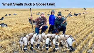 Rainy Morning Duck amp Goose Combo [upl. by Nailij899]