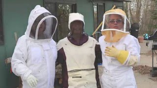 Picking up the Bees in Clearbrook Minnesota [upl. by Aneda744]