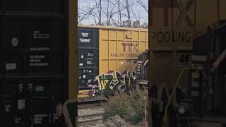 Norfolk Southern Train meet train railroad shorts [upl. by Hardden315]