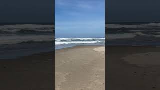 A day at beautiful Yachats Beach🕊️☀️💜💙❤️ [upl. by Johannessen834]