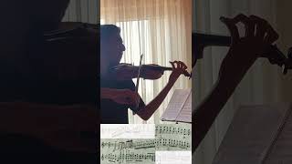 Practicing Bruch Violin Concerto Day 4 Octaves classicalmusic Violin [upl. by Brockie]