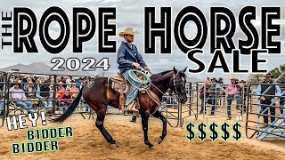 THE START OF HORSE SALE SEASON IN ARIZONA [upl. by Rahm]