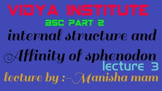 Features and affinities of Sphenodon Order Rhynchocephalia by Manisha mam [upl. by Moshe]