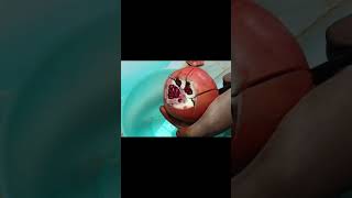 How to cut pomegranate in easy way to make juice fast 🫰🫰😋😋👌👌 [upl. by Sterrett382]