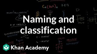 Carbohydrates  naming and classification  Chemical processes  MCAT  Khan Academy [upl. by Barbe]