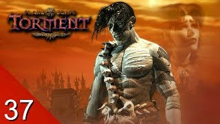 Brothel for Slaking Intellectual Lusts  Planescape Torment Enhanced Edition  Lets Play  37 [upl. by Aisats]