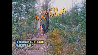 BLACKDOWN TABLELANDS NATIONAL PARK  CENTRAL QLD AUSTRALIA [upl. by Greabe369]