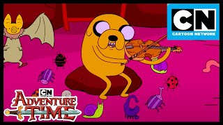 Jake The Dog Wholesome Moments  Adventure Time  Cartoon Network [upl. by Kramer583]