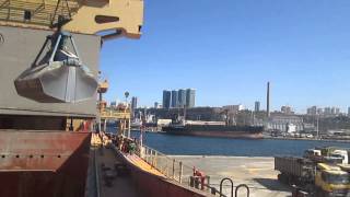 Discharging grain cargo from ship [upl. by Habas]