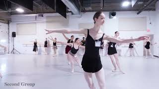 Lilac Fairy Variation Coaching with Catherine  School of Ballet 58 [upl. by Haseefan233]