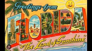 Escape Winters Chill Top 10 Snowbird Destinations in Florida [upl. by Alakim]