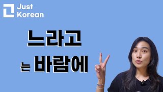 Korean Grammar 한국어 문법  느라고  는 바람에 [upl. by Ahsimal971]