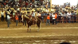 Lorenzo Ríos Campeón del 3er Caladero Futurity THV [upl. by Neelrac]