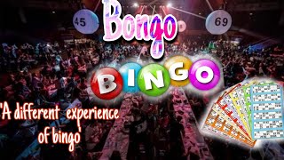 BONGO BINGO  should you try this out [upl. by Nivrad]