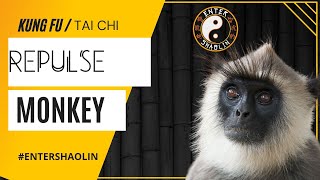 Tai Chi Chuan  Repulse Monkey  Applications  Kung Fu Training [upl. by Atiuqahc939]