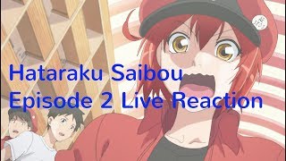 Hataraku Saibou はたらく細胞 Episode 2 Live Reaction [upl. by Rimola421]