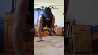 Push up Challenge💪🔥 pushups workoutchallenge shorts [upl. by Canty821]