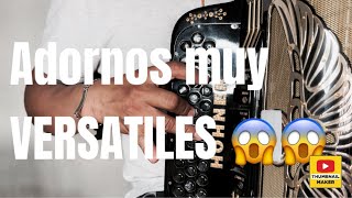 ADORNOS NORTEÑOS EN ACORDEON DE SOL Y FA  NO CREERAS LO VERSATILES QUE SON‼️😱😱 [upl. by Melisa281]