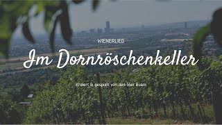 16er Buam  Im Dornröschenkeller  Wienerlied [upl. by Enirolf]