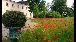 Trädgårdsmästarutbildning Stockholm [upl. by Bess776]