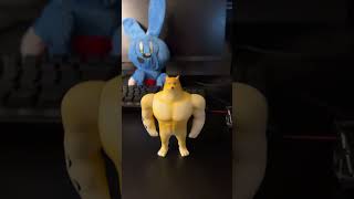 Unboxing Swole Doge Youtooz figure memes doge youtooz [upl. by Laidlaw]