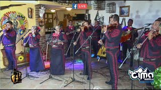 Mariachi los Palmeros de Ojocaliente Zacatecas [upl. by Ailecnarf]