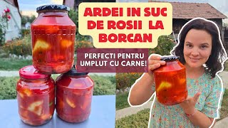 Pariez că vei face si la anul această rețetă ARDEI IN SUC DE ROSII pentru umplut cu carne  Anyta [upl. by Ostap80]