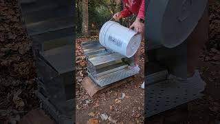 Making sure those feeders stay full during Molting season chickens molting [upl. by Shelagh]