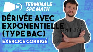 La fonction exponentielle EXERCICE TYPE BAC  Spé maths  Terminale [upl. by Eirrek]