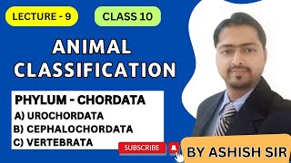 Understanding Phylum Chordata Urochordata Cephalochordata and Vertebrata  Class 10 Hindi [upl. by Hpotsirhc]