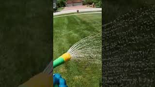 Bulletproof Fungicide Treatment for Lawns lawncare lawnlife [upl. by Russi]