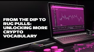 From The Dip to Rug Pulls Unlocking More Crypto Vocabulary [upl. by Shirlee]